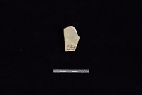 陶片藏品圖，第2張